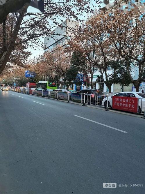 邯郸新街最新爆料,繁华街区焕新颜，揭秘隐藏的惊喜与变革